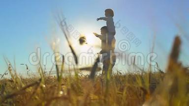 父子玩耍的<strong>剪影</strong>，日落时分在麦田里的飞机臂一起举起，幸福的一家人散步